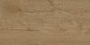 Rio Gold 60x120